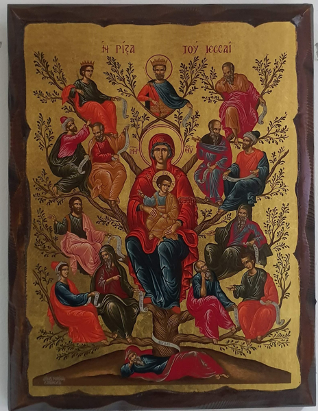 ΡΙΖΑ ΤΟΥ ΙΕΣΣΑΙ ΠΕΠΑΛΑΙΩΜΕΝΗ - ΠΕΛΕΚΥΤΗ 20Χ16